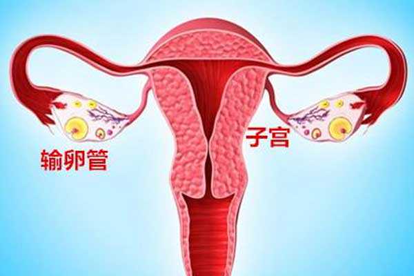 香港检测验血价格,宫腔积液如何影响辅助生殖技术中助孕过程？