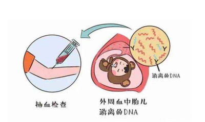在香港验血验男孩女孩多少钱,香港怀孕抽血查看男女准确率高吗?要超越几个月
