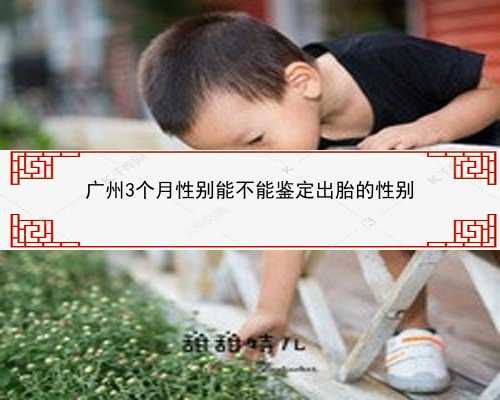 广州12周鉴定胎儿性别_广州有梅毒孕妇影
